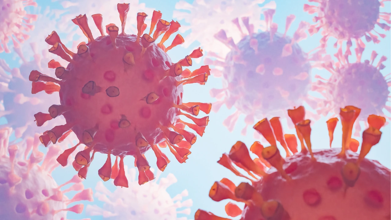 Kasus Flu Subclade K Melonjak di AS, Eropa, dan Jepang, Tetap Siaga Tanpa Panik