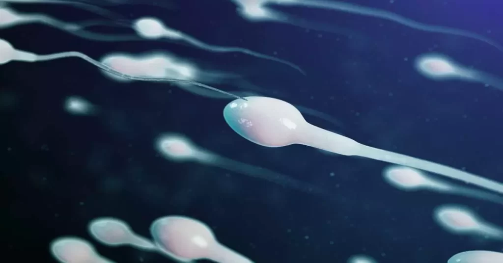 cara membuat sperma sehat kembali
